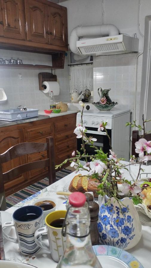 Vaggelitsa'S House Βίλα Πυθαγόρειο Εξωτερικό φωτογραφία